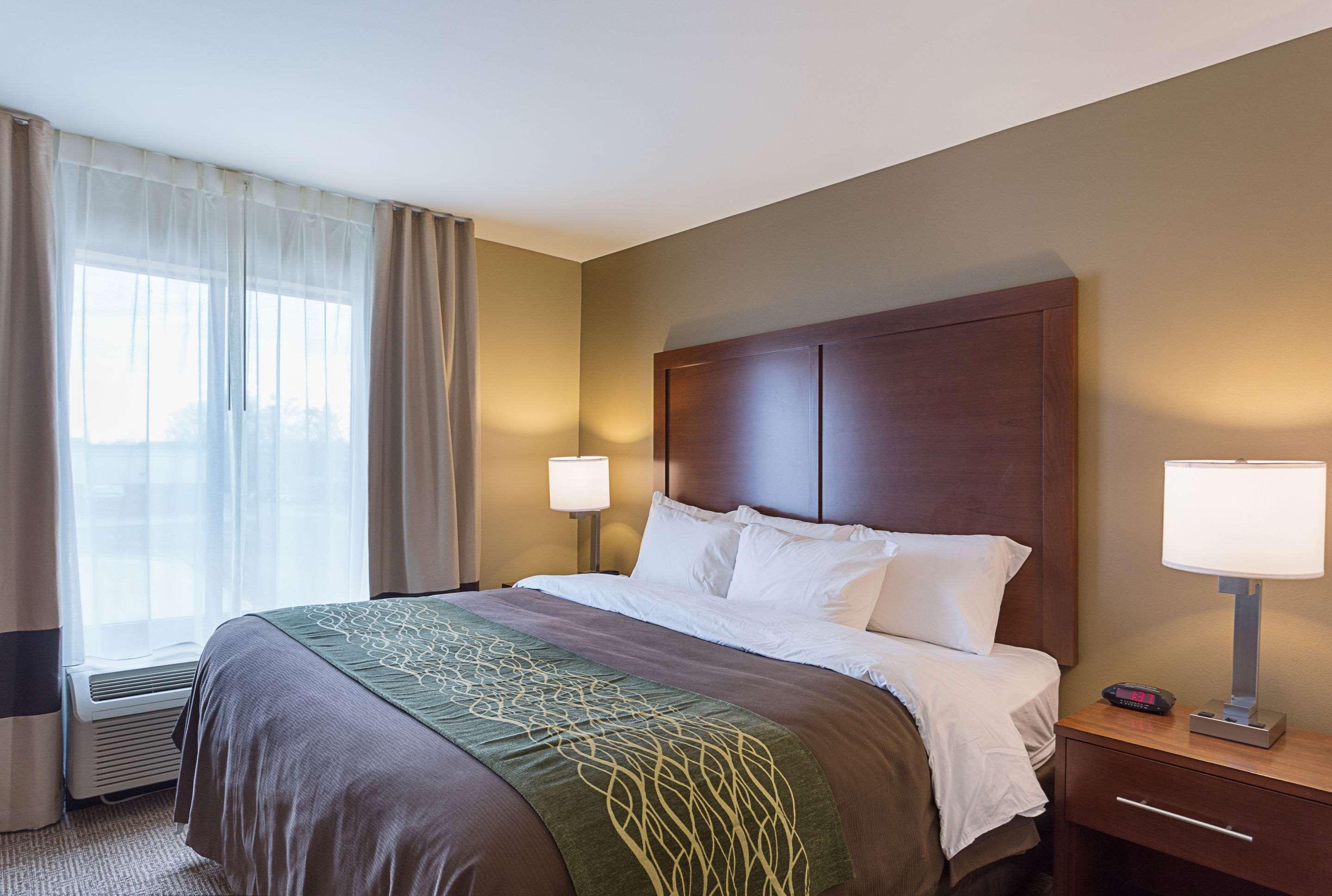 Comfort Inn & Suites Zachary Esterno foto
